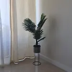 Terras Novas Paradise - * 阿尔布费拉