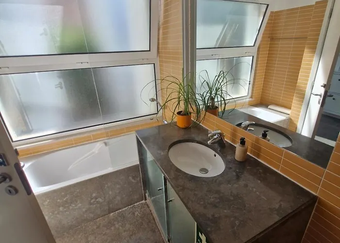 Terras Novas Paradise - *