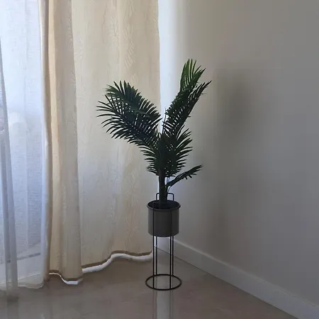 Terras Novas Paradise - * البوفيرا